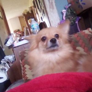 Meet your Posher, Logan